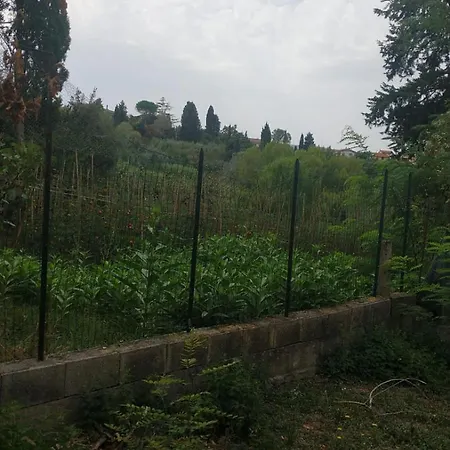 La Libellula Apartman