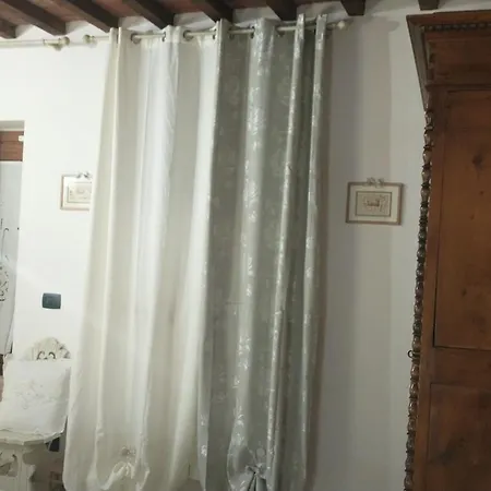 La Libellula *