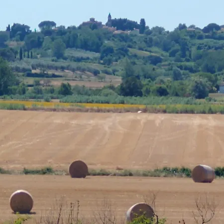 La Libellula Capannoli