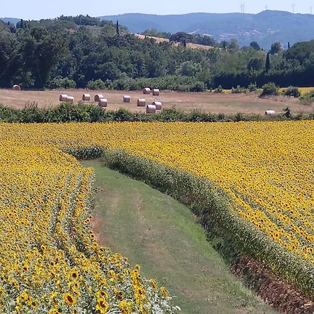 La Libellula * Capannoli