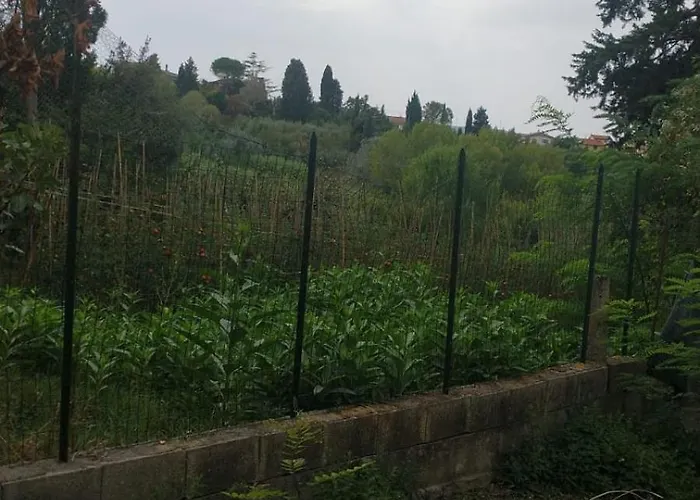 La Libellula Apartmán